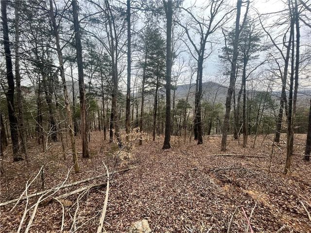 461 NC 8647, Parthenon, AR 72666