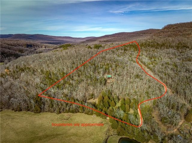 461 NC 8647, Parthenon, AR 72666