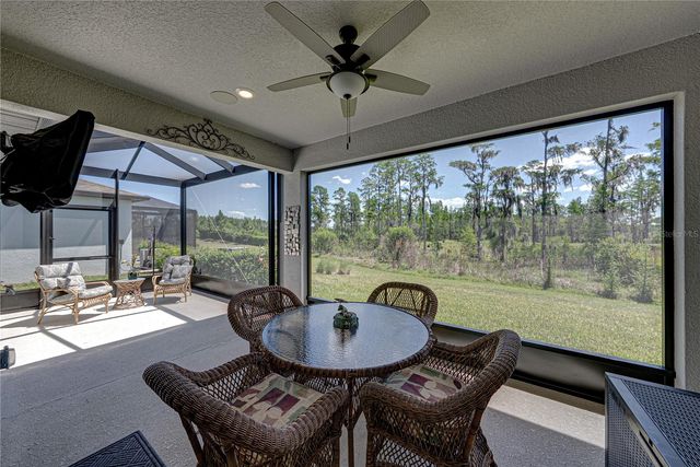 6041 SHOREBIRD BRANCH, Land O Lakes, FL 34638
