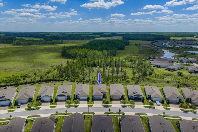 6041 SHOREBIRD BRANCH, Land O Lakes, FL 34638