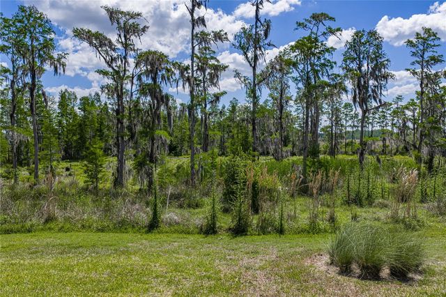 6041 SHOREBIRD BRANCH, Land O Lakes, FL 34638