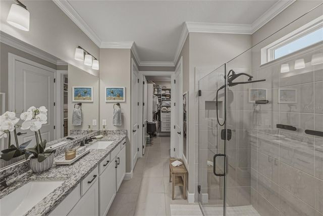 6041 SHOREBIRD BRANCH, Land O Lakes, FL 34638