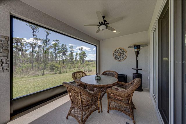 6041 SHOREBIRD BRANCH, Land O Lakes, FL 34638