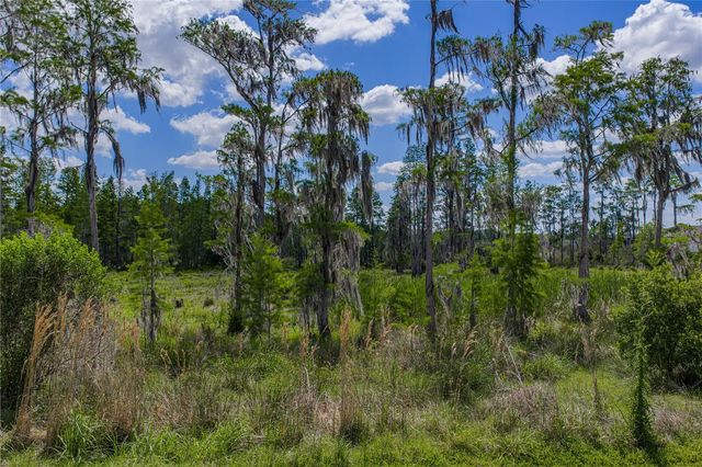 6041 SHOREBIRD BRANCH, Land O Lakes, FL 34638