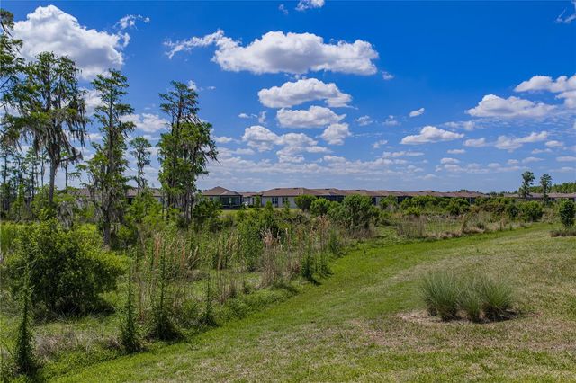 6041 SHOREBIRD BRANCH, Land O Lakes, FL 34638