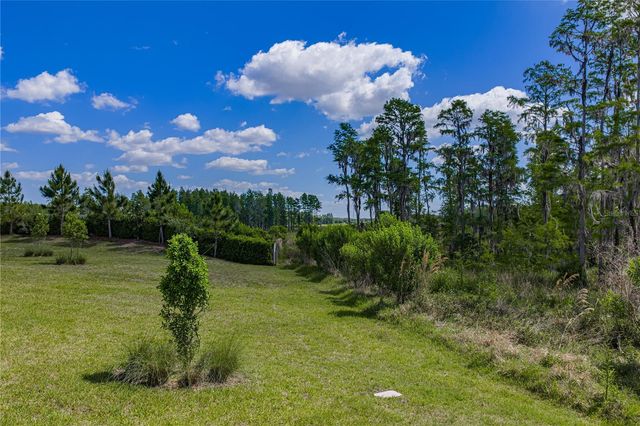 6041 SHOREBIRD BRANCH, Land O Lakes, FL 34638