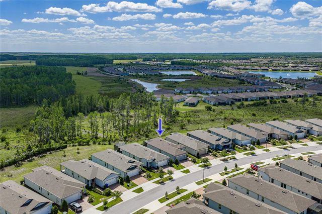 6041 SHOREBIRD BRANCH, Land O Lakes, FL 34638