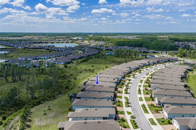 6041 SHOREBIRD BRANCH, Land O Lakes, FL 34638