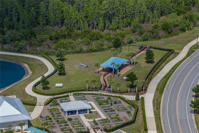6041 SHOREBIRD BRANCH, Land O Lakes, FL 34638