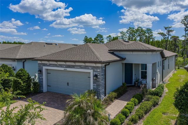6041 SHOREBIRD BRANCH, Land O Lakes, FL 34638