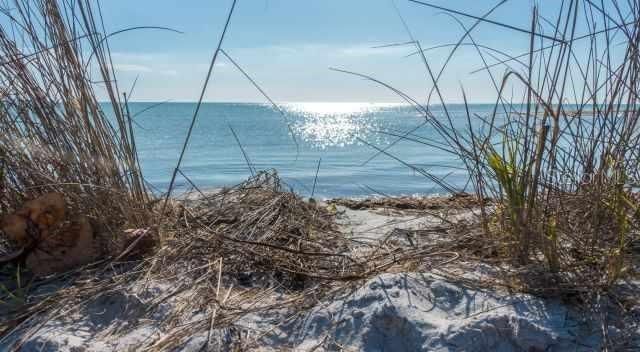 952 VIRGINIA STREET 207, Dunedin, FL 34698