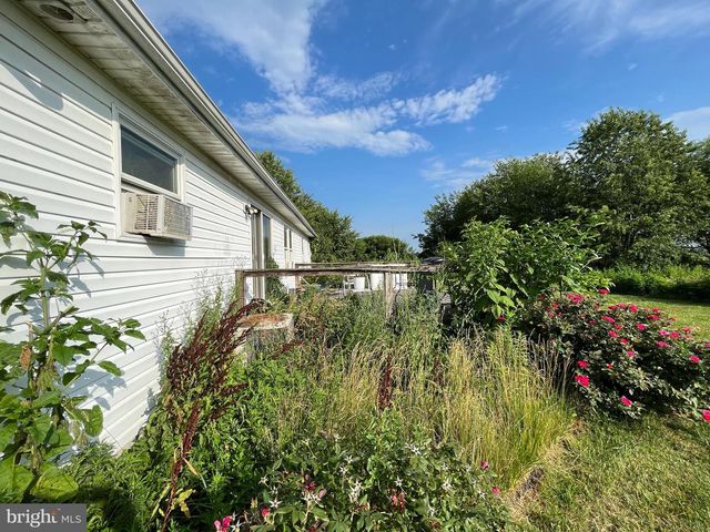 11054 AUSTIN LN, Worton, MD 21678