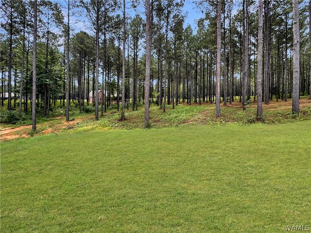 13588 Northside, Berry, AL 35546