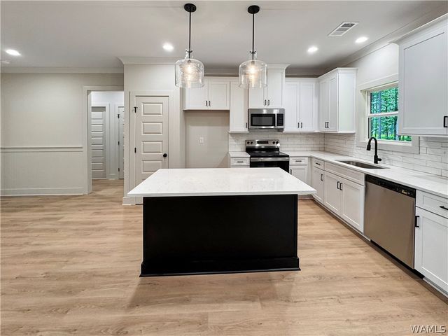 13588 Northside, Berry, AL 35546