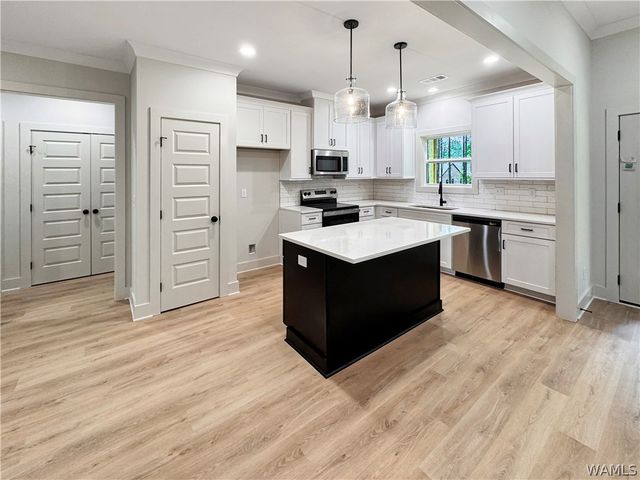 13588 Northside, Berry, AL 35546