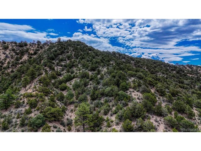 8966 Hanging Tree Dr, Salida, CO 81201