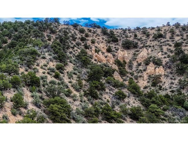 8966 Hanging Tree Dr, Salida, CO 81201