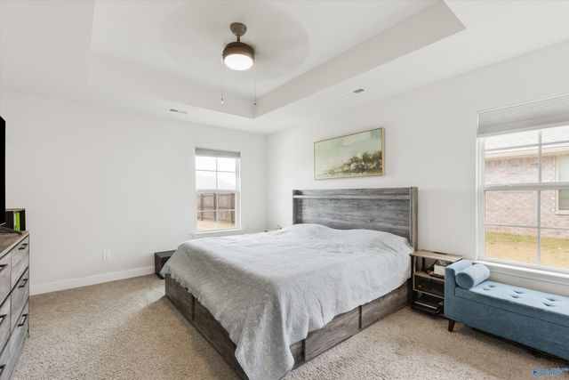 221 Alonzo Toney Drive, Madison, AL 35756