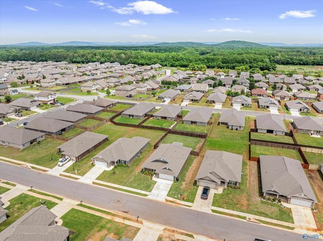 221 Alonzo Toney Drive, Madison, AL 35756