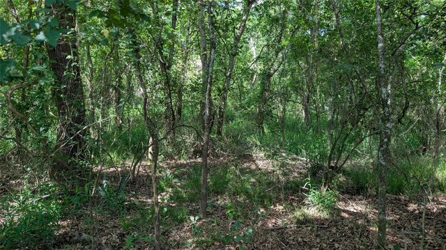 2619 County Road 289, East Bernard, TX 77435