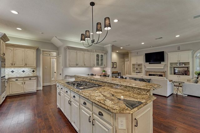 18 Treevine Court, The Woodlands, TX 77381