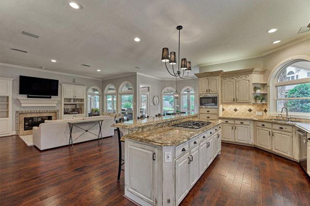 18 Treevine Court, The Woodlands, TX 77381
