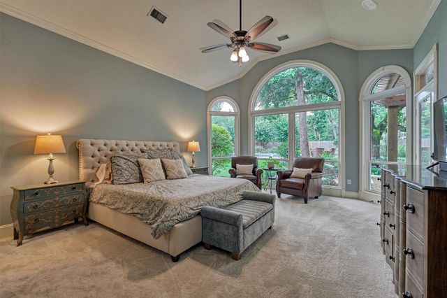 18 Treevine Court, The Woodlands, TX 77381