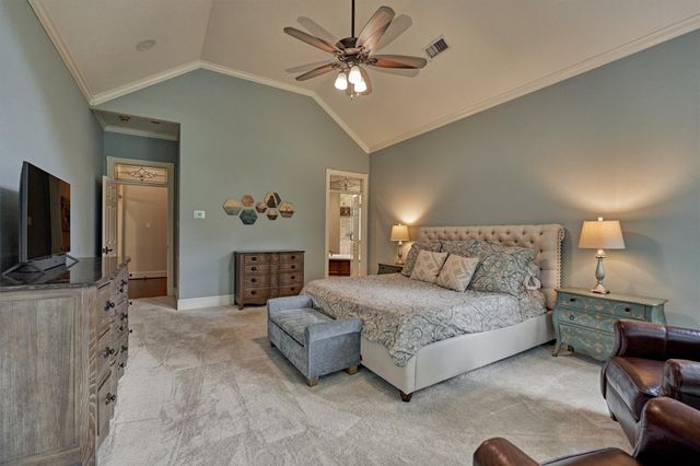 18 Treevine Court, The Woodlands, TX 77381