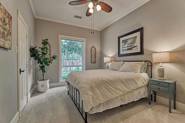 18 Treevine Court, The Woodlands, TX 77381