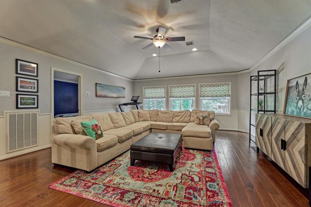 18 Treevine Court, The Woodlands, TX 77381