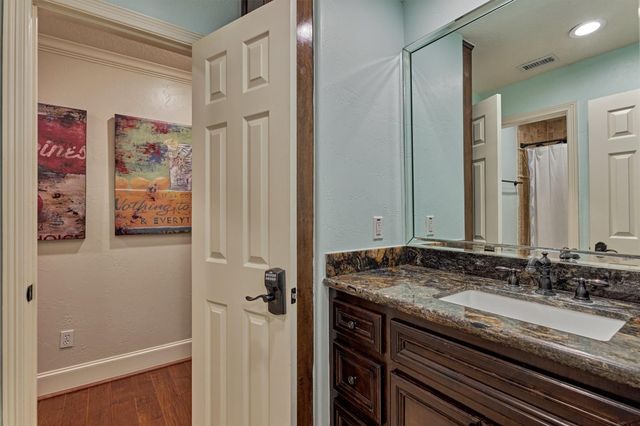 18 Treevine Court, The Woodlands, TX 77381