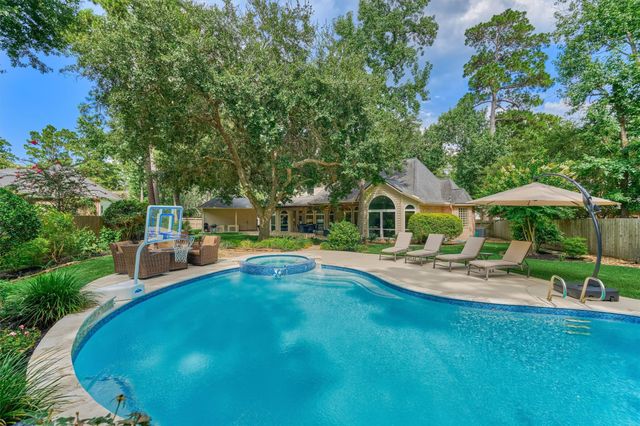 18 Treevine Court, The Woodlands, TX 77381