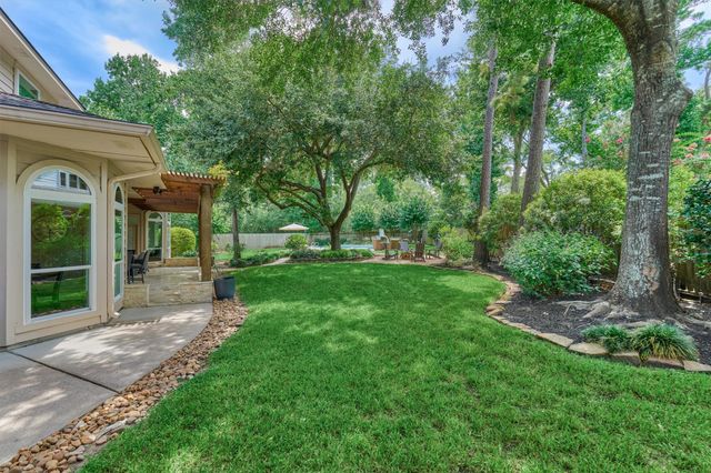 18 Treevine Court, The Woodlands, TX 77381