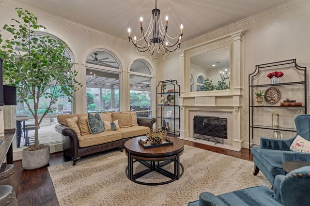 18 Treevine Court, The Woodlands, TX 77381