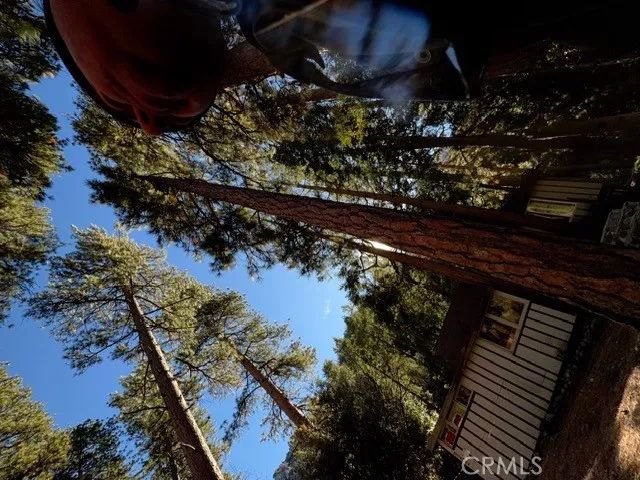 9202 Wood, Forest Falls, CA 92339