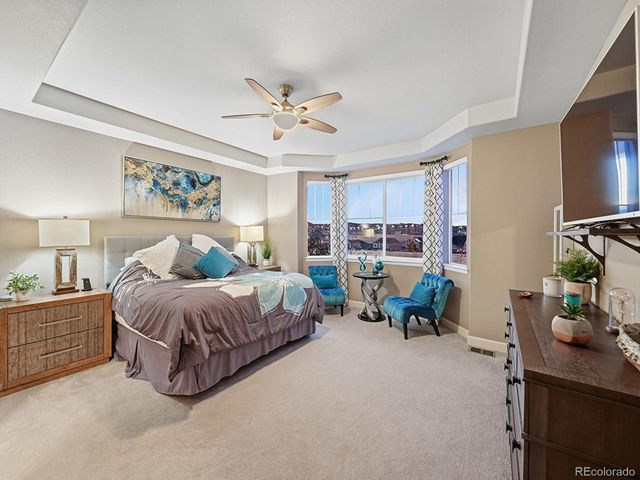 5741 Flat Rock Court, Castle Rock, CO 80104