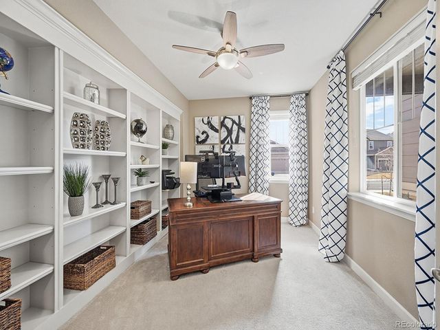 5741 Flat Rock Court, Castle Rock, CO 80104