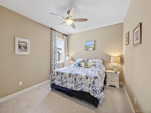 5741 Flat Rock Court, Castle Rock, CO 80104