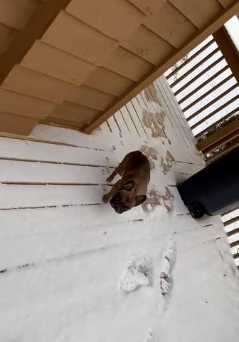 472 Bear Paw Church Road, Murphy, NC 28906