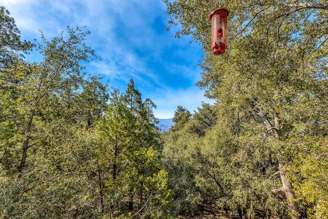 52365 Pine Ridge Road, Idyllwild, CA 92549