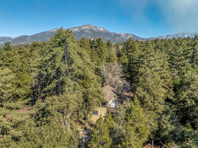 52365 Pine Ridge Road, Idyllwild, CA 92549