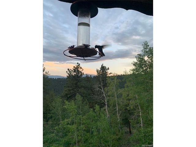 5235 County Road 72, Bailey, CO 80421