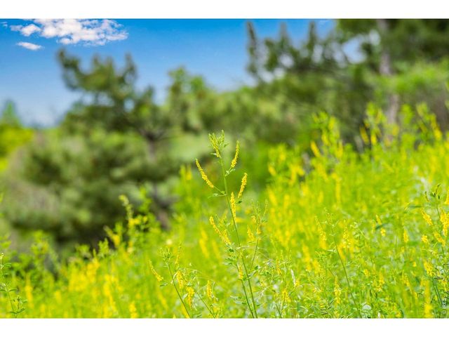 255 Bellevue Dr, Boulder, CO 80302