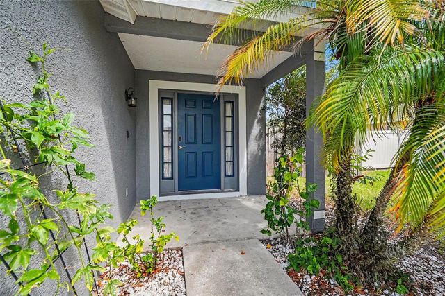 1317 AVONWOOD COURT, Lutz, FL 33559