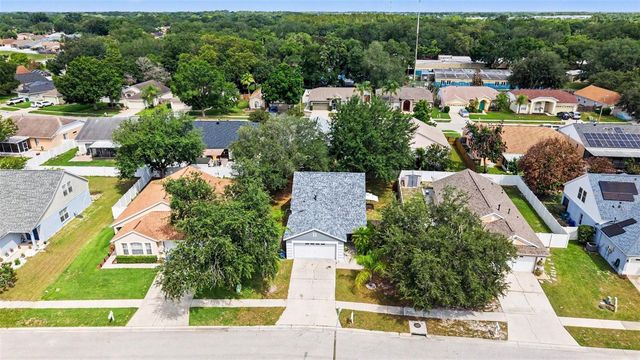 1317 AVONWOOD COURT, Lutz, FL 33559