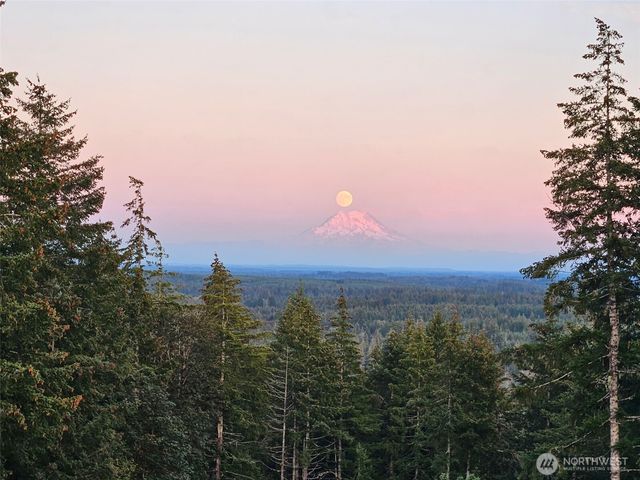 90 W Jeanne Saeger Loop, Shelton, WA 98584