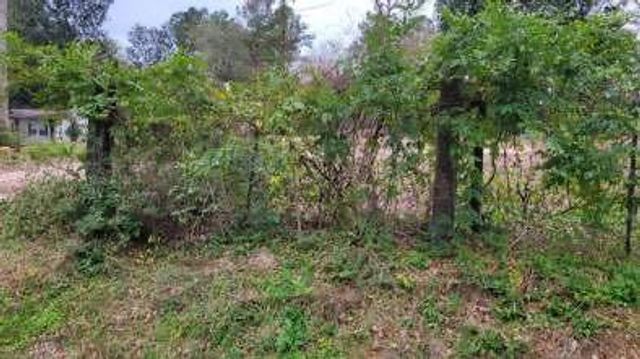 0 Beverly Drive, Shepherd, TX 77371