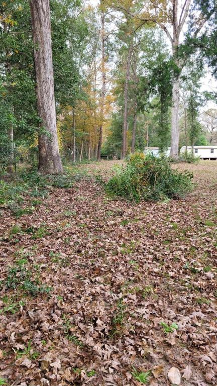 0 Beverly Drive, Shepherd, TX 77371