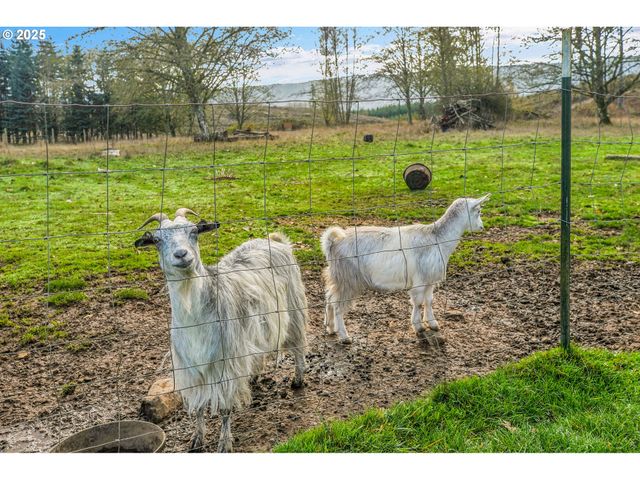 73859 CEDAR GROVE Dr, Clatskanie, OR 97016