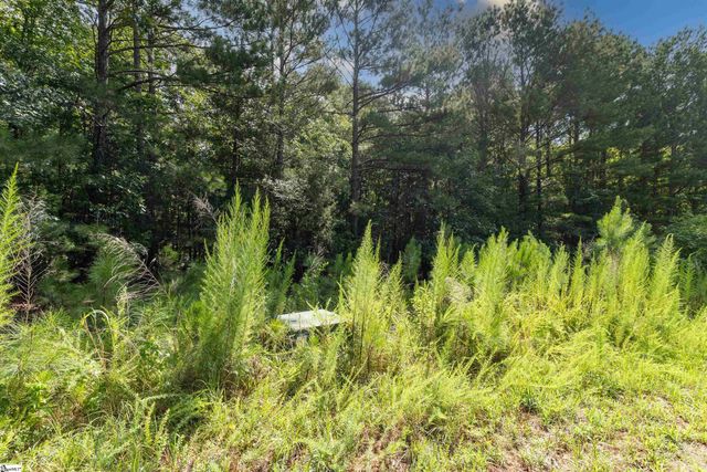 00 Hobby House Way, Woodruff, SC 29388